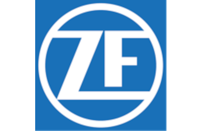 zf tamahnoajustado